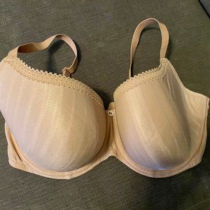 Cleo by Panache Bra 36G